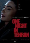 دانلود فیلم One Night in Tehran 2019