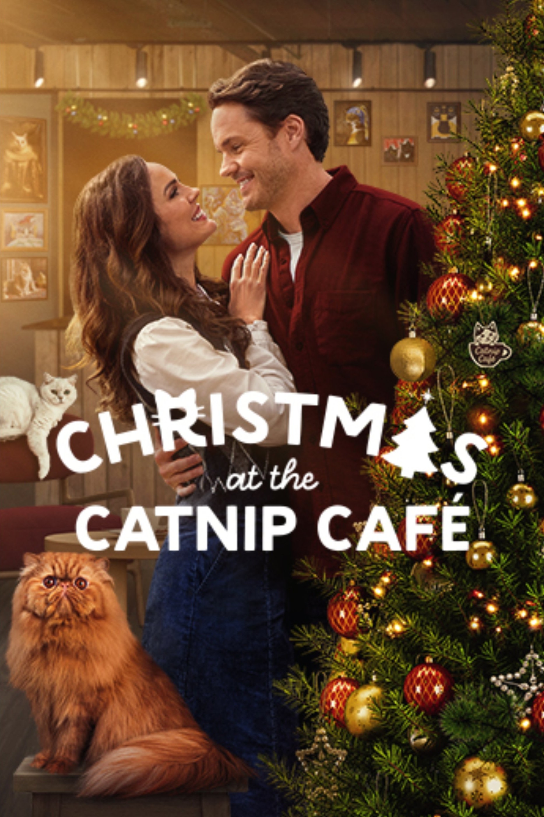 دانلود فیلم Christmas at the Catnip Cafe 2025 با زیرنویس چسبیده